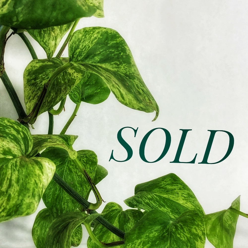 SOLD